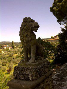 lion at Gamberaia