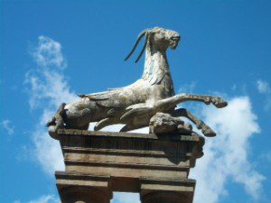 Capricorn the sea god 
