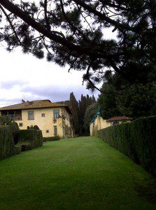 Immaculately clipped hedges - even in March ! Immaculately clipped hedges - even in March !