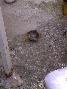 Bowl wrapped in horse hair Bowl wrapped in horse hair