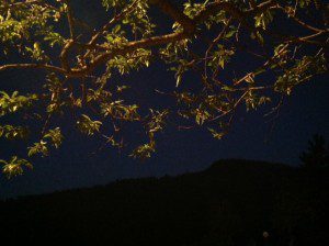 night lights